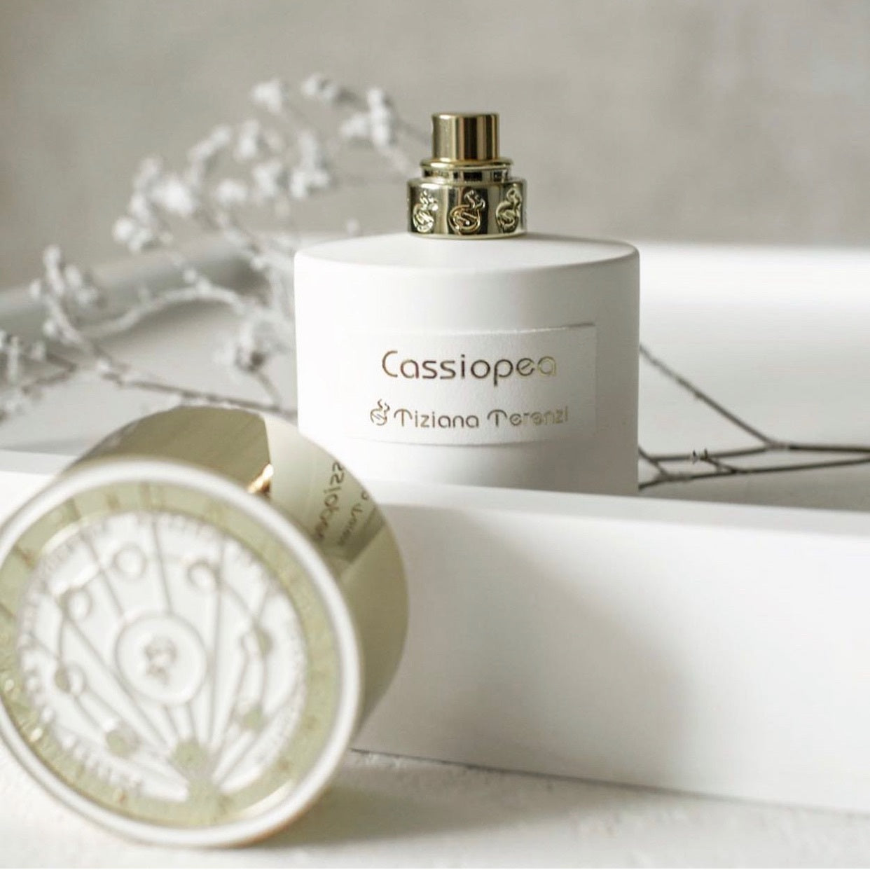 Cassiopea Parfumflakon von Tiziana Terenzi, mit floralen und fruchtigen Noten, auf minimalistischem Hintergrund