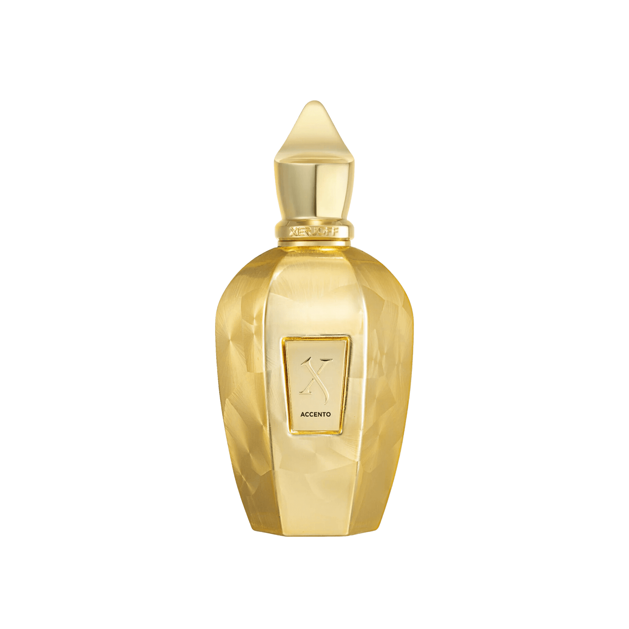 Xerjoff Accento Overdose 100 ml