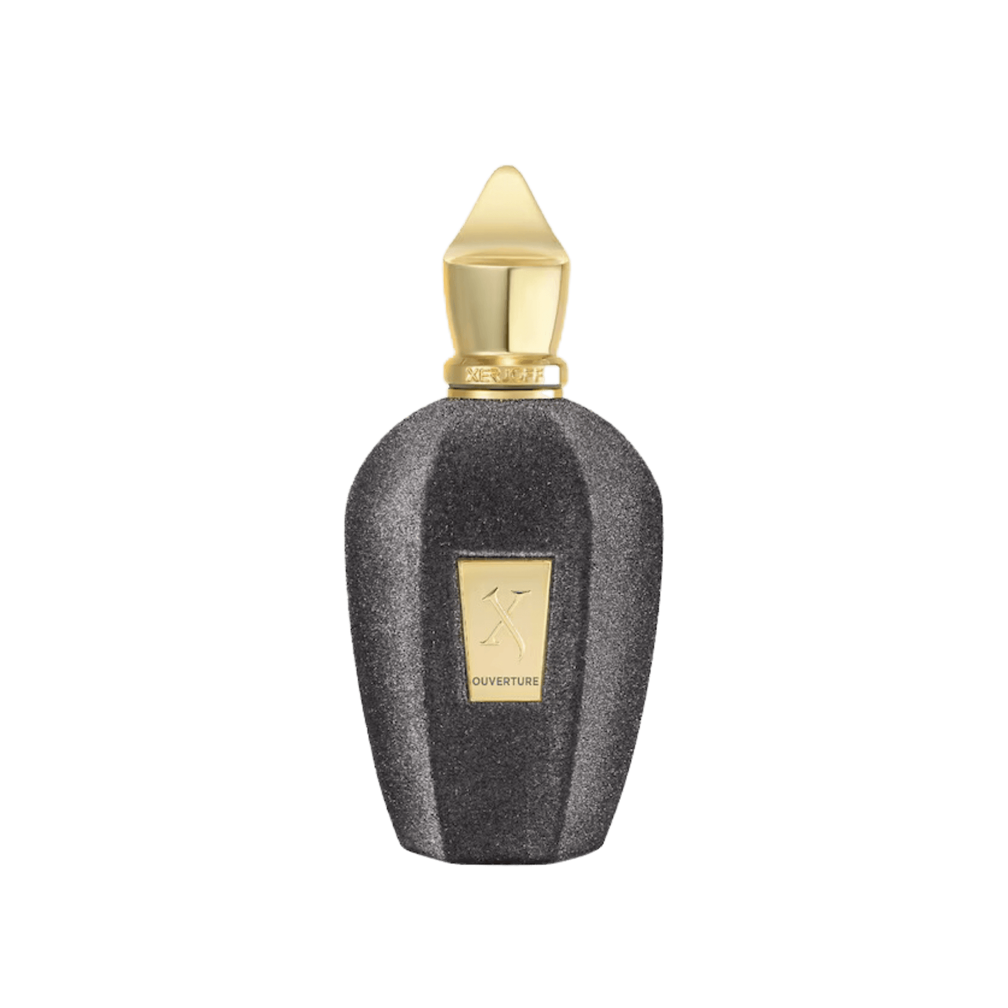 Xerjoff V Collection Overture 100ml 100 ml