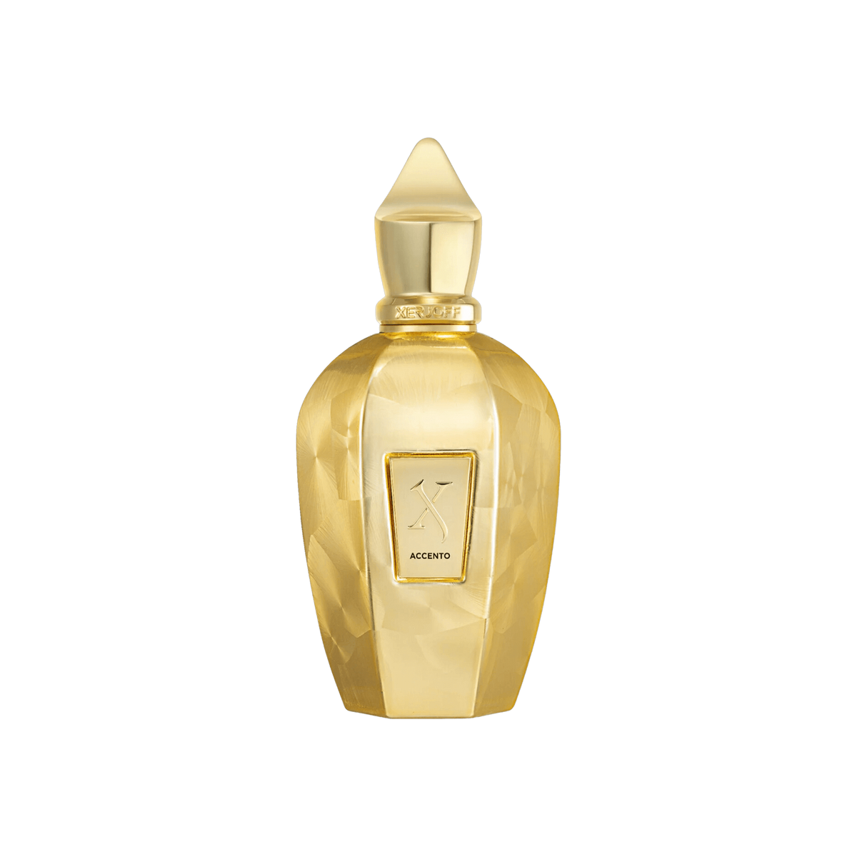 Xerjoff Accento Overdose 100 ml
