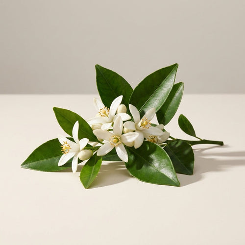 Neroli