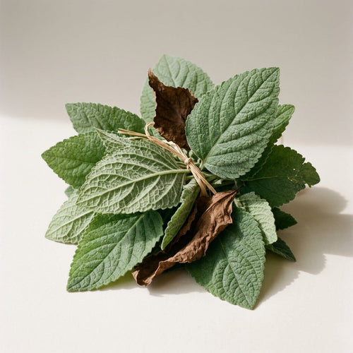Patchouli