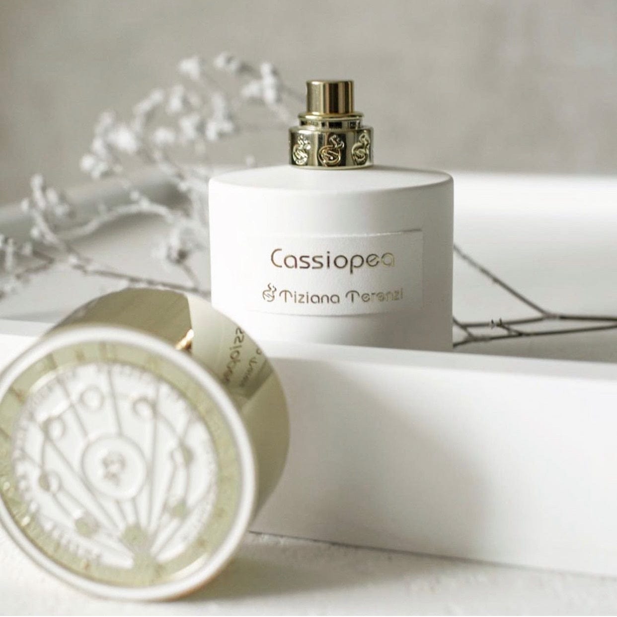 Tiziana Terenzi Tiziana Terenzi Cassiopea 100 ml