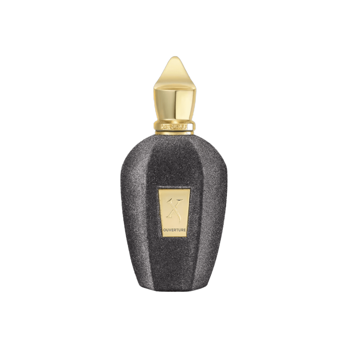 Xerjoff V Collection Overture 100ml 100 ml